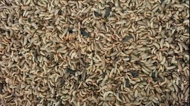 1507795160748997.jpg 微信圖片_20171012160014.jpg