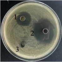 1661819981772420.png image.png